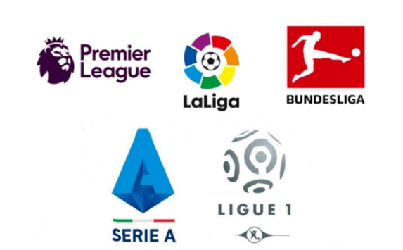 功地赢得了 功地赢得了